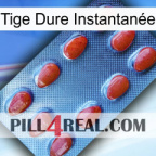 Tige Dure Instantanée 06